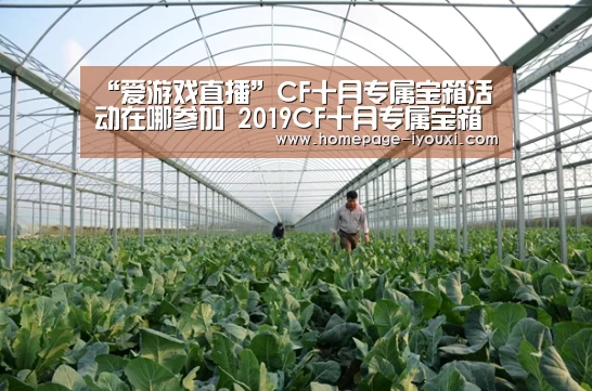 爱游戏娱乐