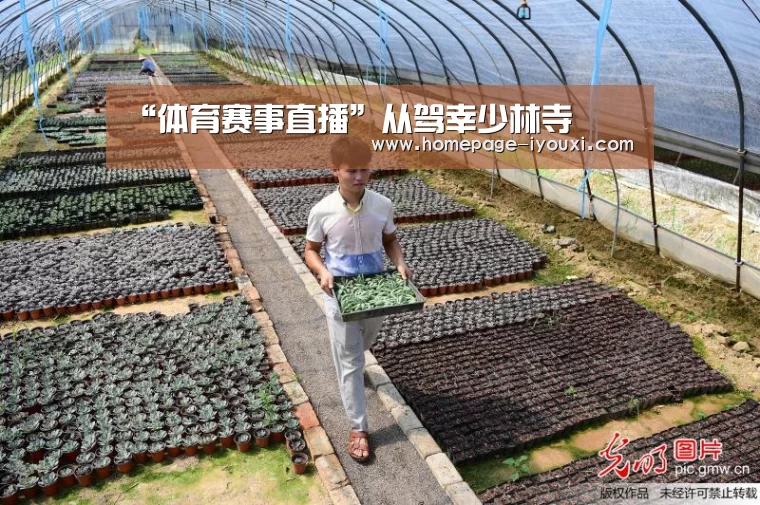 “体育赛事直播”从驾幸少林寺(图2) 爱游戏体育直播
