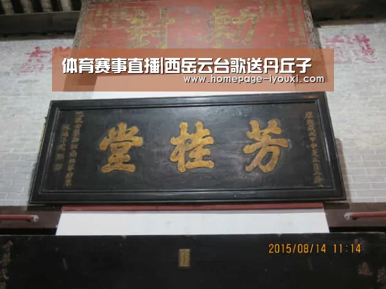 爱游戏直播